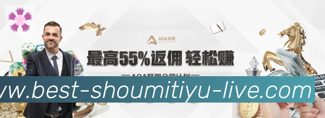 未来规划